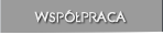Lonar - wsppraca